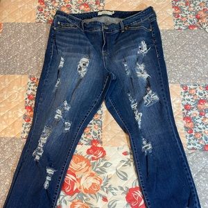 Torrid Jeans